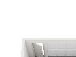 T2